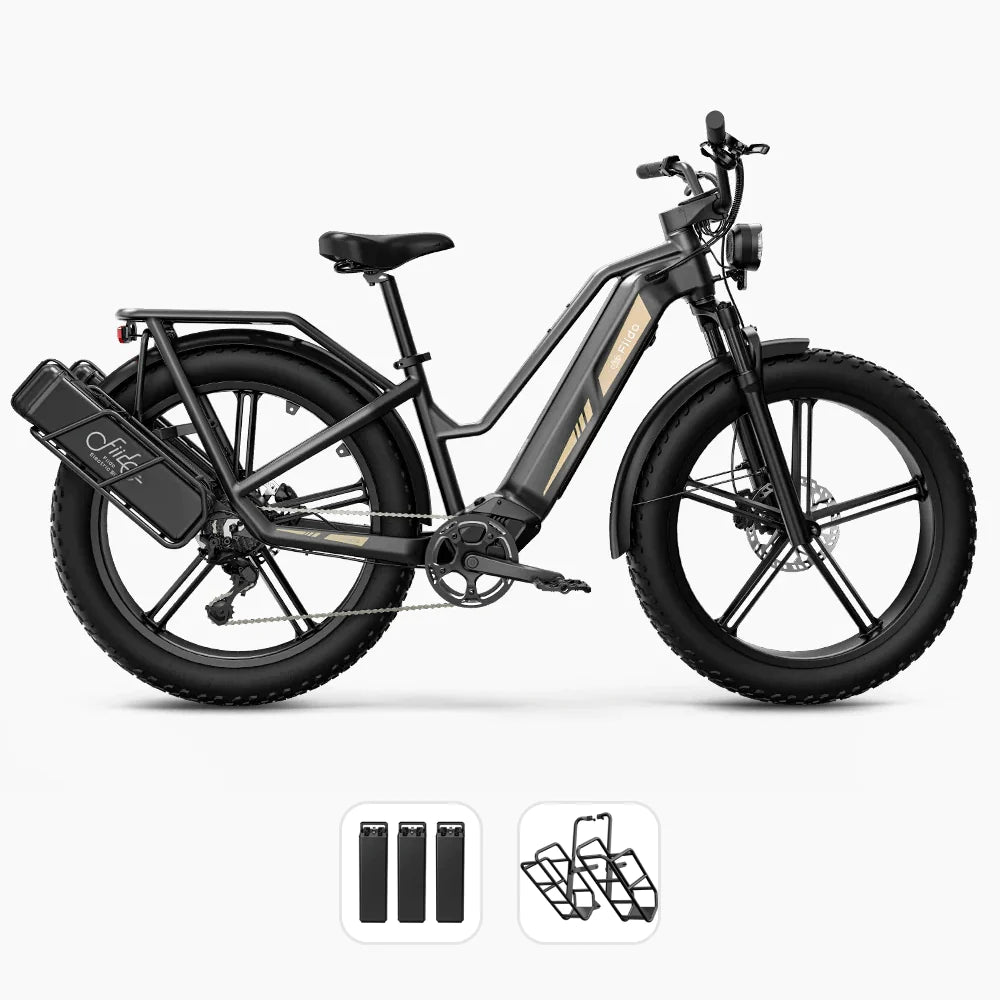 Fiido Titan Robust Cargo Electric Bike with Torque Sensor and UL certified { new model }