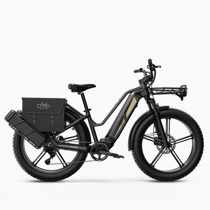 Fiido Titan Robust Cargo Electric Bike with Torque Sensor and UL certified { new model }